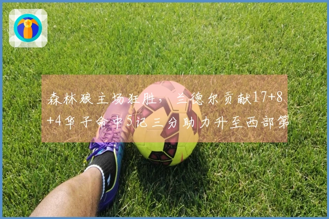 森林狼主场狂胜，兰德尔贡献17+8+4华子命中5记三分助力升至西部第3