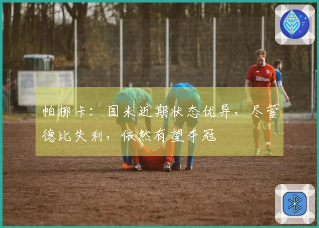 帕柳卡：国米近期状态优异，尽管德比失利，依然有望夺冠